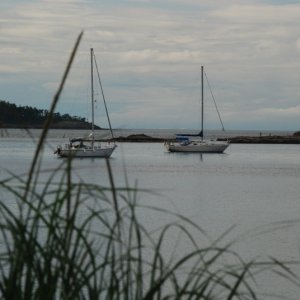 Shallow Bay, Sucia Island