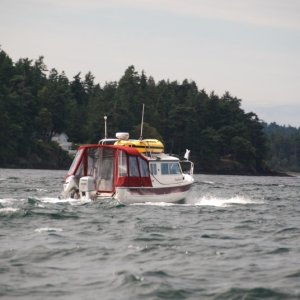 Media 'Running shot of Daydream' in album 'Dee 8th anniversary dinner, Islander Cafe, Lopez Island'