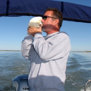 My secret to getting dolphin photos...