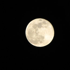 Full moon 12/12/08