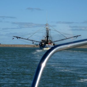 Heading out behind Miss Joanna