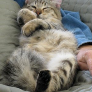 Getting comfy