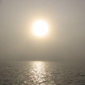 Sun burning through the fog