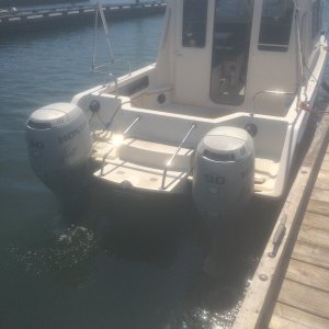 IMG 0393