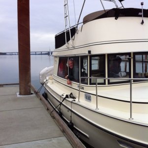 Media '1-29-12 Gov't Island' in album 'Opposite Rooster Rock:  8 - 9' sturgeon'