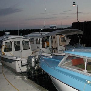 DSCN0528.JPG