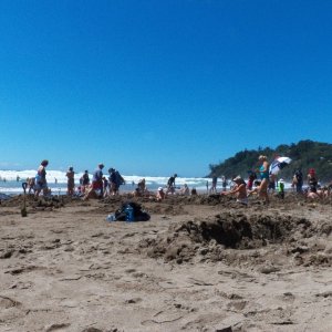 Media 'It might be a dry hole or it might be too hot.  Lots of trial and error and shifting around as people come and go.' in album 'We rented a cabin for a couple of days at Hot Water Beach.'