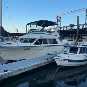 Media 'It was cold, there was shrinkage.' in album '1st Day as C-Dory Owner. July 2019'
