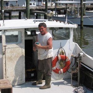 local waterman, wayne, oysters and crabs