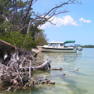 Picnic Island, florida