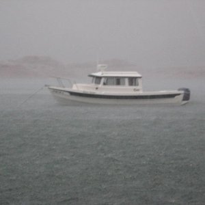 Media 'One wet C Dory' in album 'Fifty Mile Canyon, Escalante River'