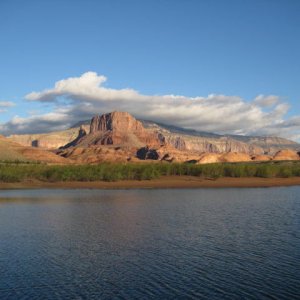 Media 'Morning light' in album 'Fifty Mile Canyon, Escalante River'