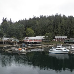 Got to Telegraph Cove at 6 pm.