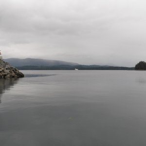 There is a ferry from Port McNeill.  Alert Bay has a festival a few weeks after we were there and we heard the moorage would be a problem.  No problem when we went.  The harbor master didn't even charge us because we were small and just visiting the museum.