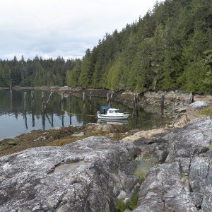 Next stop was Mamalilaculla.  I had read Tea Time and Totem Poles since my last visit here, so I was curious to go ashore.  We used the bungee anchor system.