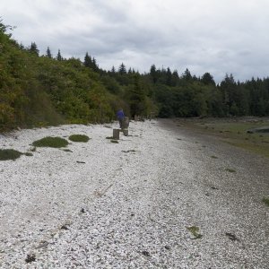 The beach is one giant midden.