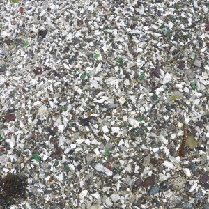 It is impossible to look for trade beads when the midden contains so much broken glass.  It was possible to read some of the embossed pieces.  It seems Musterole was popular.