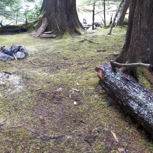 We obviously weren't the first to stop here.  Somebody forgot their camp axe.