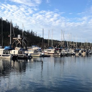 A different view of H Dock
