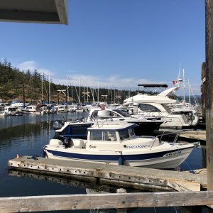 Media 'G looking at H' in album 'Daydream with AGLCA Gold Burgee on Bow'