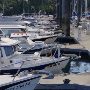 Media 'the lineup' in album 'Daydream with AGLCA Gold Burgee on Bow'