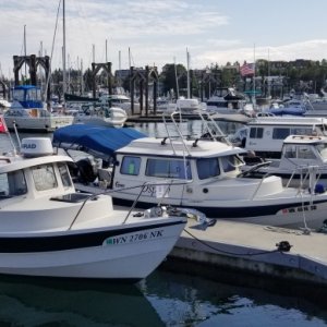 5 models lined up, older 22 angler, 22 cruiser, 16 angler, 25 cruiser, and a tomcat 255