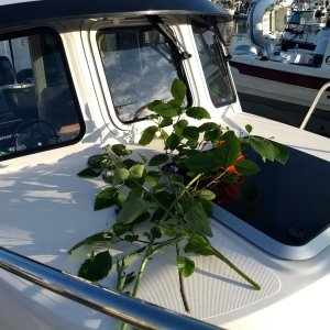 Pennybridge. Well done Harald. Best christening greenery ever!
