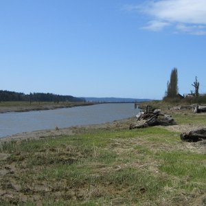 Stilly River, West Pass, Looking north near SR532 bridge.
