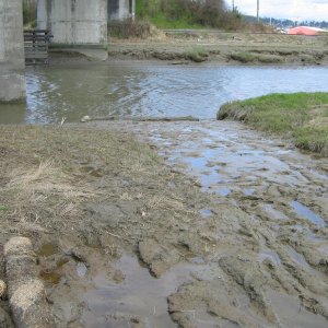 Muddy launch ramp, looking east