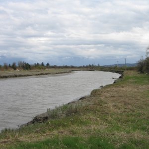 Media 'Stilly river, West Pass, looking south from muddy launch ramp' in album 'Stillaguamish River (Stilly) at SR 532 bridge, between Stanwood and Camano Island, looking west.  Tide at about +2 ft., actual depth unknown.'