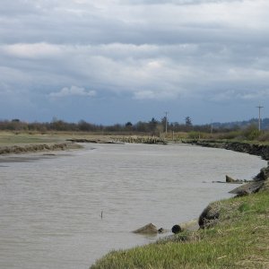 Media 'West Pass, looking south from near muddy launch ramp toward junction of Stilly, West Pass, and South Pass.' in album 'Stillaguamish River (Stilly) at SR 532 bridge, between Stanwood and Camano Island, looking west.  Tide at about +2 ft., actual depth unknown.'