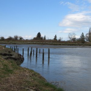 Media 'Junction of Stilly (on right), West Pass (on left), and South Pass (behind camera), looking north.' in album 'Stillaguamish River (Stilly) at SR 532 bridge, between Stanwood and Camano Island, looking west.  Tide at about +2 ft., actual depth unknown.'