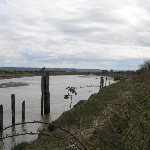 Same location as previous picture, view more to the south.