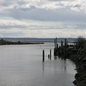 Media 'Entrance to South Pass.  Looking south, picture taken from end of paved road. Tide at about +2 ft., actual depths unknown.' in album 'Stillaguamish River (Stilly) at SR 532 bridge, between Stanwood and Camano Island, looking west.  Tide at about +2 ft., actual depth unknown.'