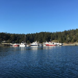Dock full. Typical.