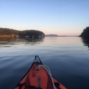 Media 'Paddling around the bay' in album 'Heading out Friday afternoon March 20 to escape the Covids'