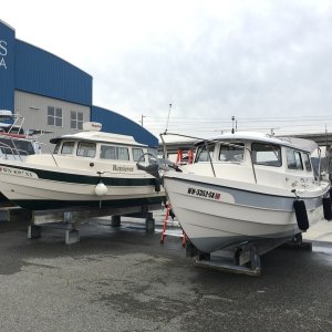 Media 'Back at the marina for washdown. Legendary c-brat boat on next stand over.' in album 'Heading out Friday afternoon March 20 to escape the Covids'