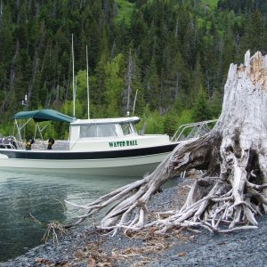 Media '(Waterball) Kenai Lake 05\' Camping Boat Beached' in album 'Close-Up of new pedestal 05''