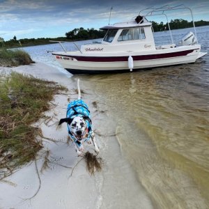 My girl Joplin. Navy Point, Pensacola FL