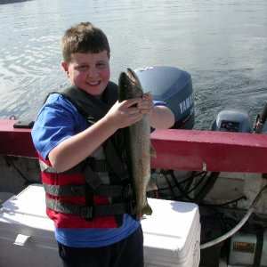 Media '22" Lake Washington Cutthroat' in album 'C&R Shipwreck King by boat'