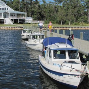 Lit'l Tug in a line of 16s