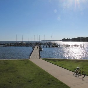 The marina on a sunny Friday
