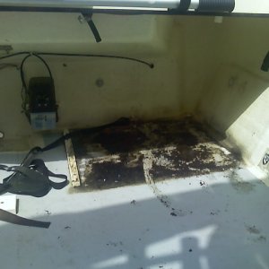 Media 'Crud under where fuel tank was' in album 'Crud under where fuel tank was'
