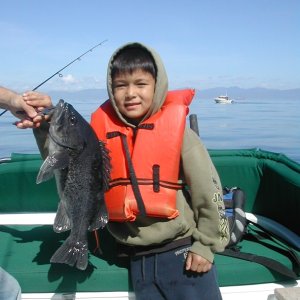 Media 'Sieku 2006 - Son with his first Black Sea Bass (AKA Black Rockfish)' in album 'August 2006 - Trying to catch Salmon, but nothing but Dog Fish. Possession Pt.'