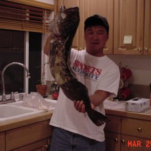 Ling caught out of Westport, WA