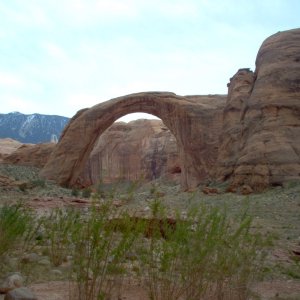 (Cygnet) Rainbow Bridge