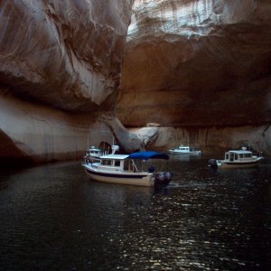(Cygnet) Cathedral of the Desert