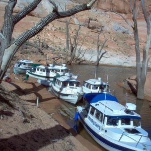 (Cygnet) Forgotten Canyon,  start of Defiance House path