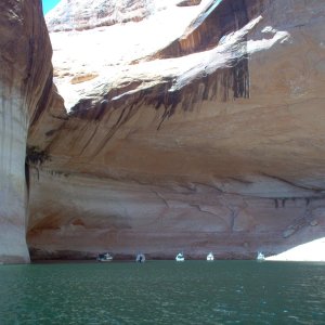 (Cygnet) Lunch on the hook, Annie\'s Canyon