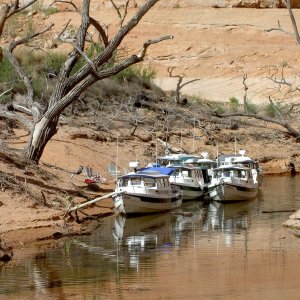 (Hunkydory) Forgotten Canyon-Gathered to see Defiance Site